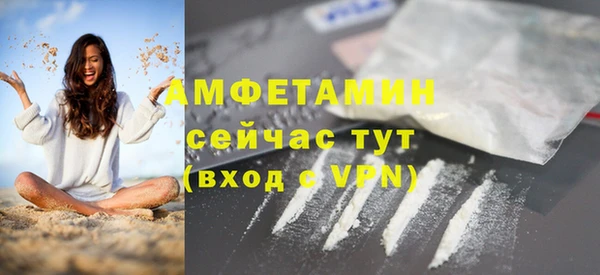 стаф Алзамай