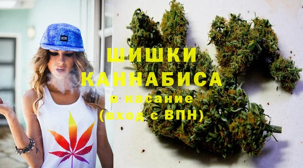 стаф Алзамай
