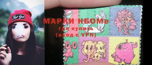стаф Алзамай
