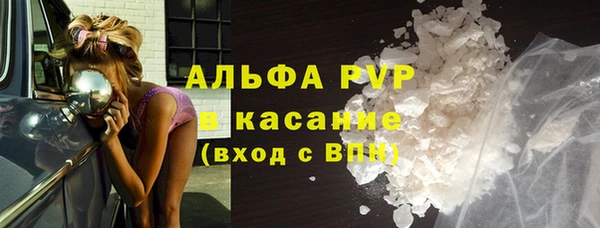 гидра Аркадак